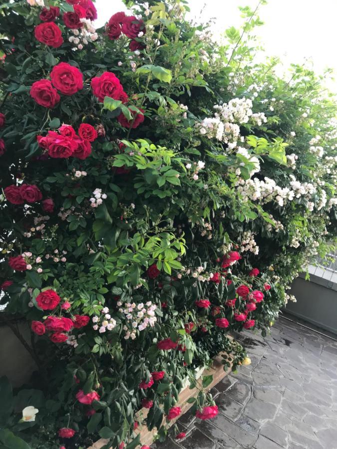 La S'Volta Vanzago Bed And Breakfast Экстерьер фото